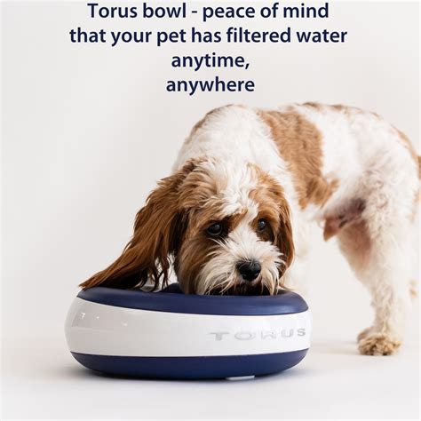 best dog bowls for sloppy drinkers.